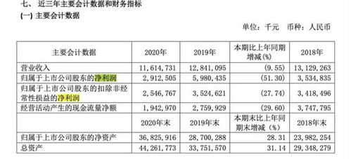 周鴻祎的追風(fēng)之旅 360押注新造車(chē)，互聯(lián)網(wǎng)安全巨頭的轉(zhuǎn)型之困